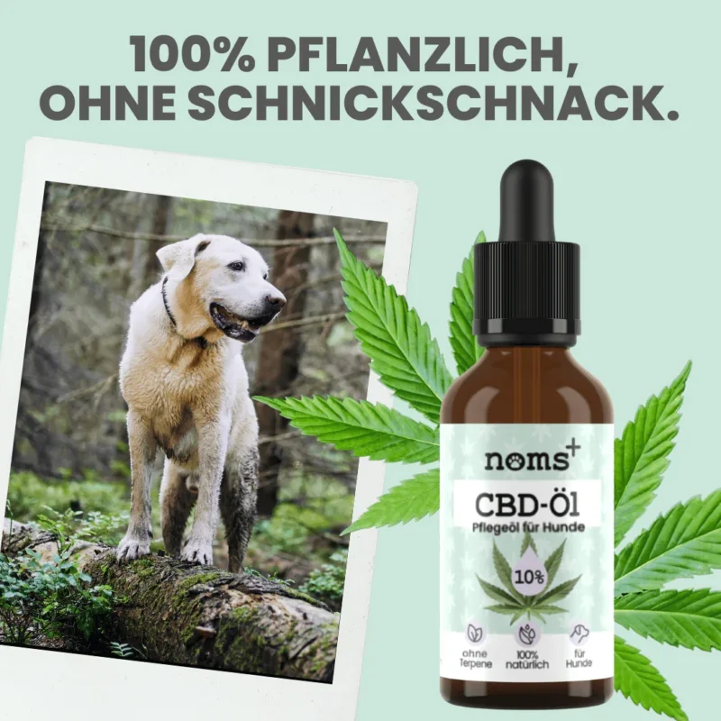 Premium Hanfsamenöl Tropfen für Hunde