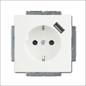 ABB BUSCH-JAEGER 2CKA002011A6161 Steckdose