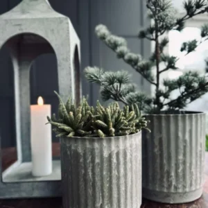 Kräutertöpfe im grünen Beton-Look - Set aus 2 Stk