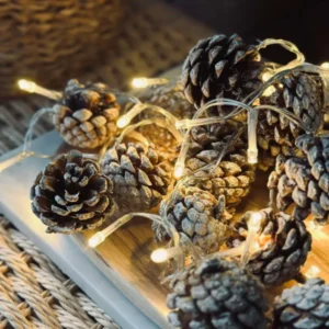 Lichterkette mit kleinen Zapfen