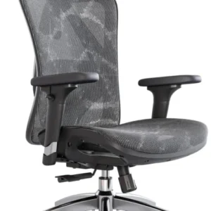 Ergonomischer Bürostuhl mit 3D Armlehne und Lendenwirbelstütze