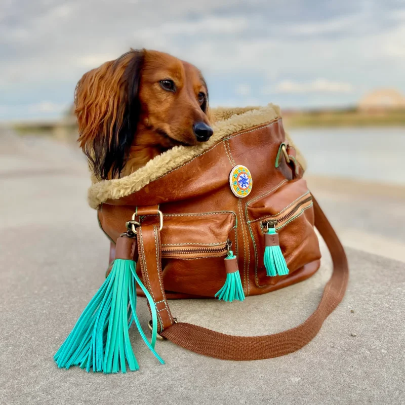 Dog with a Mission Leder Hundetasche Blondie – für kleine Hunde (bis zu 5 kg)