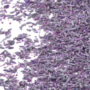 Fleurs de lavande naturelles pour mariage violettes