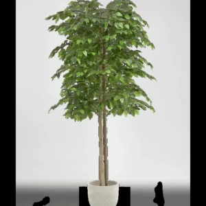 Maia Shop Künstliche 2 Baumkronen Ficus Kunstpflanze Wohnzimmer Dekoration 150cm - 8435240504483