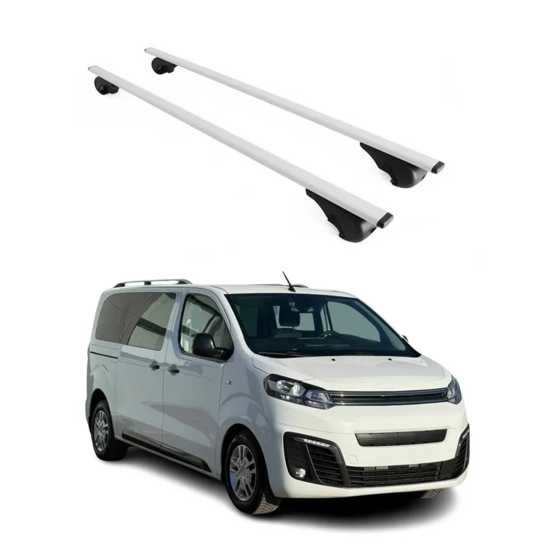 Dachträger Grundträger für Citroen SpaceTourer 2016-2026 75kg Stahl Silber 2x