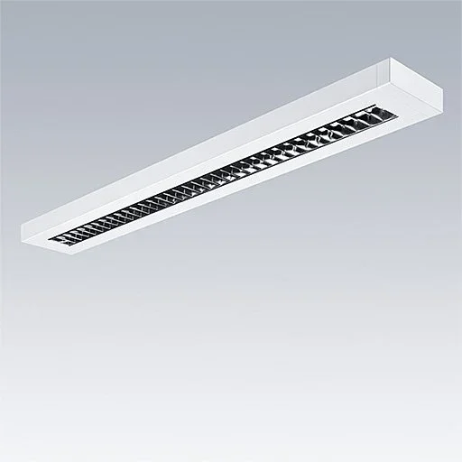 Thorn - Decken - /Wandleuchte LED - Aufputzleuchte PUNCH 3 LV #96635729 830